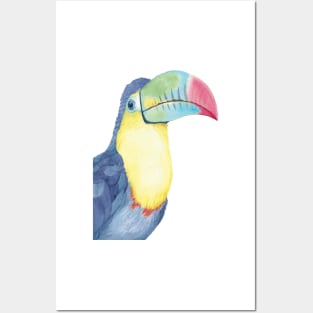 Watercolor keel-billed toucan painting bird Posters and Art